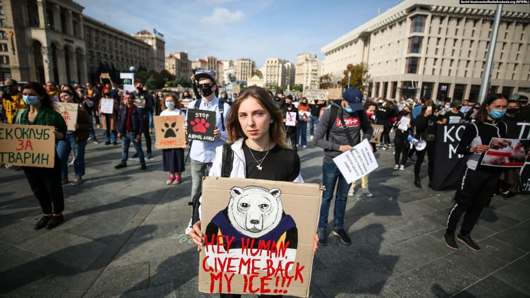 Участники акции в защиту животных на Майдане Независимости, Киев, 4 октября 2020 года