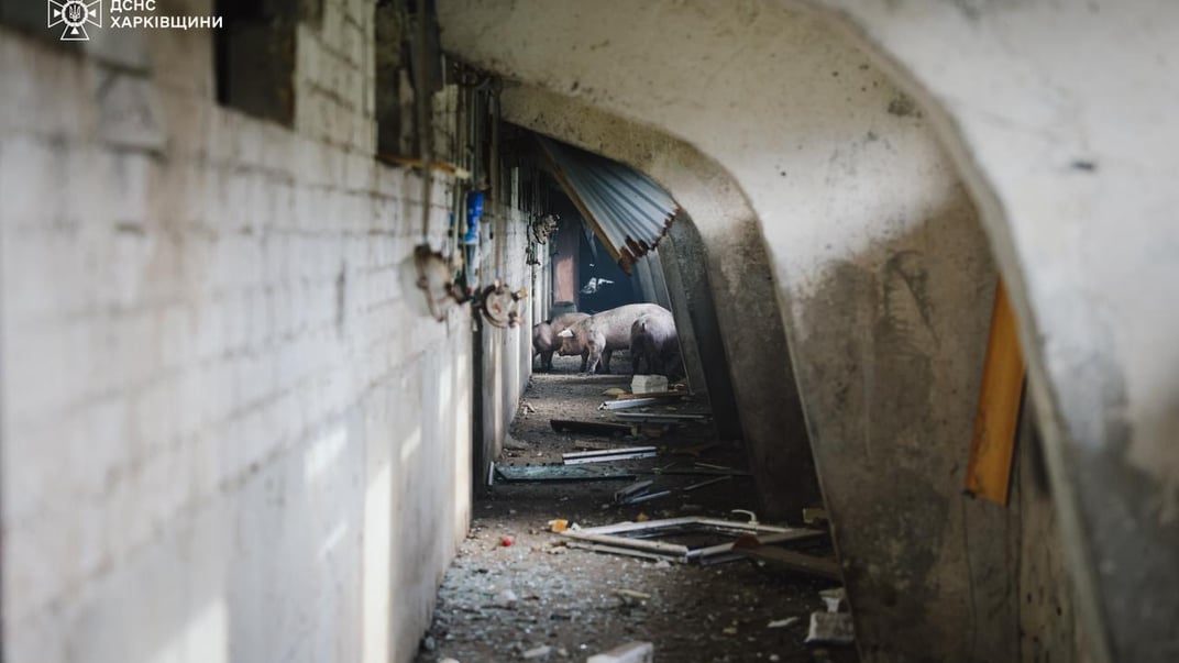 Последствия удара по сельхозпредприятию в Харьковской области