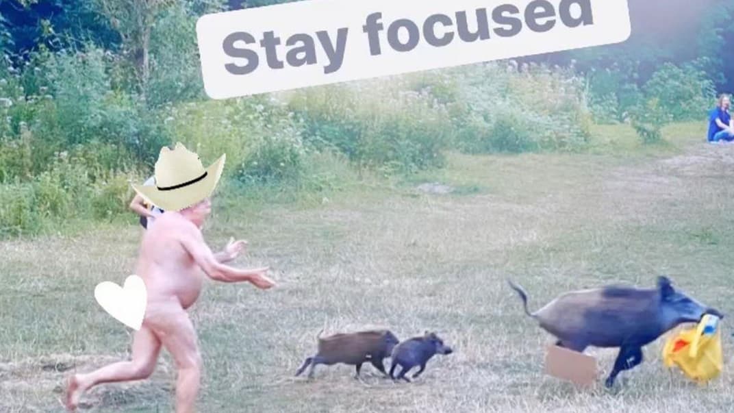 Кабанчик вкрав у чоловіка сумку з ноутбуком. Ну що поробиш — довелося повертати пропажу голяка