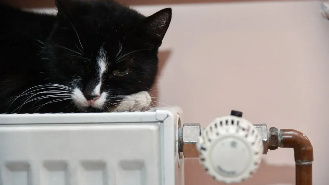 Ілюстративне фото