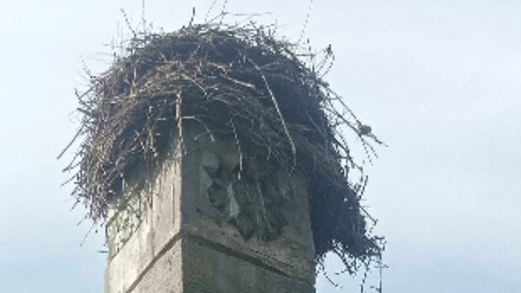 На Рівненщині відклали демонтаж радянського пам’ятника, поки лелеки не «полетять у вирій»