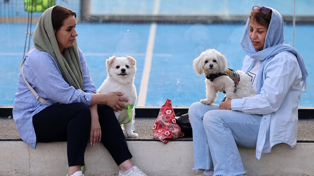Іранки сидять зі своїми песиками в парку в Тегерані, 8 червня 2025 року