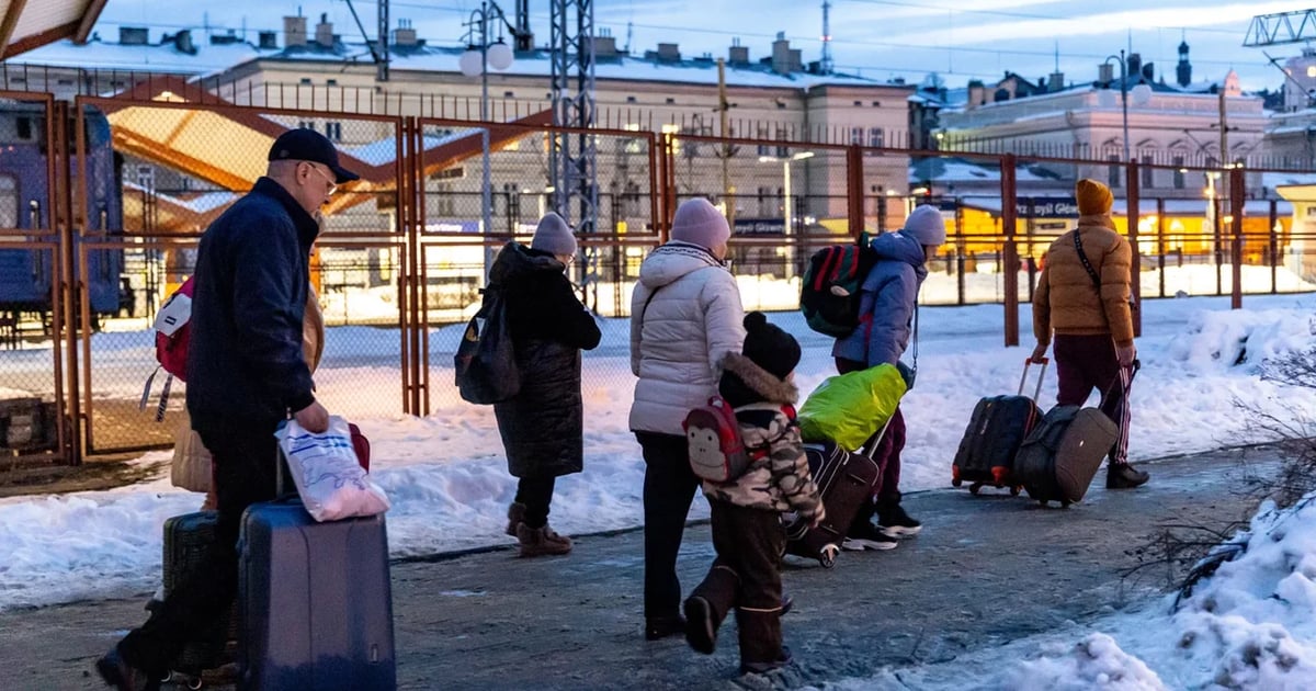 У 2025 році кількість іммігрантів, які проживають у Європейському Союзі зросла до рекордного рівня — 64,2 мільйона. Це на 2,1 мільйона більше, ніж у 2024-му.

Пише Reuters з посиланням на звіт Центру досліджень та аналізу міграції при інституті RFBerlin