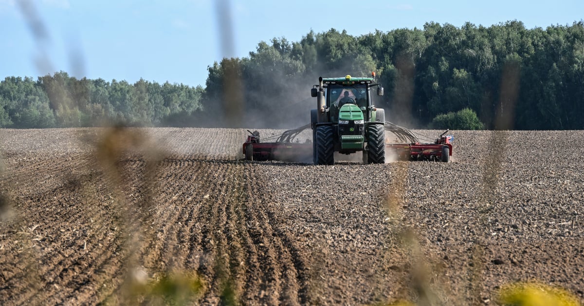 Russia declares emergency in Krasnodar Krai as Ukrainian strikes disrupt grain exports