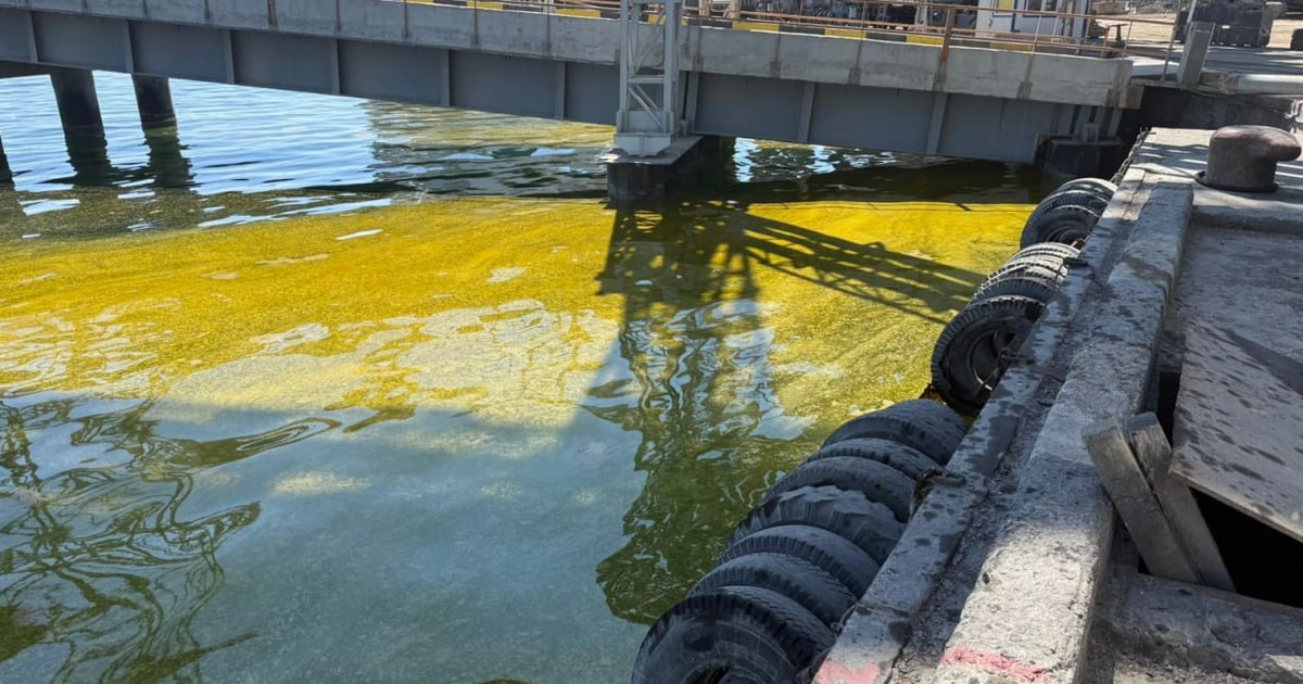 Russian strike on Chornomorsk port near Odesa triggers massive sunflower oil spill