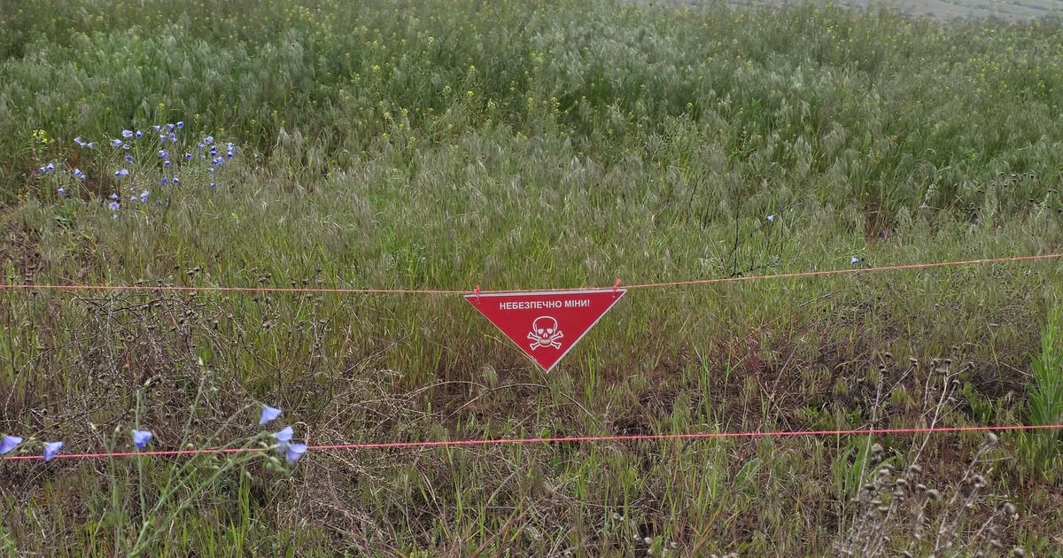 Близько 900 природоохоронних об’єктів зазнали пошкоджень або перебувають під загрозою знищення внаслідок війни росії проти України. Це приблизно 1,2 млн гектарів землі.

Про це у відповіді на запит hromadske повідомили в Мінекономіки