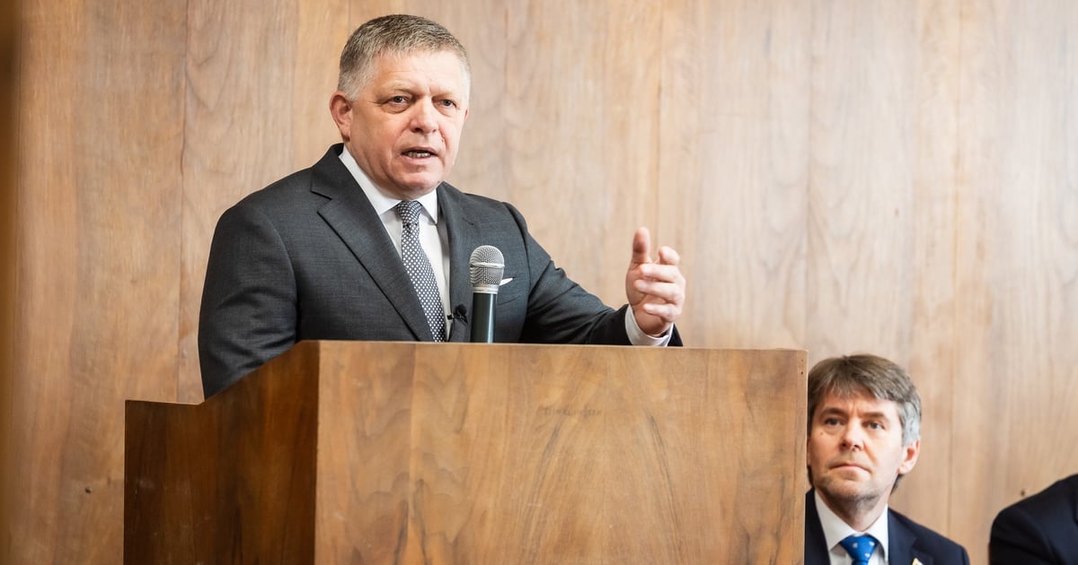 Фіцо заявив, що «будь-який безпілотник може призвести до ескалації напруженості», якщо Європейський Союз не говоритиме з росією.

Він «висловив повну солідарність» з урядом Румунії і закликав до «стриманості у виголошенні запальних заяв»