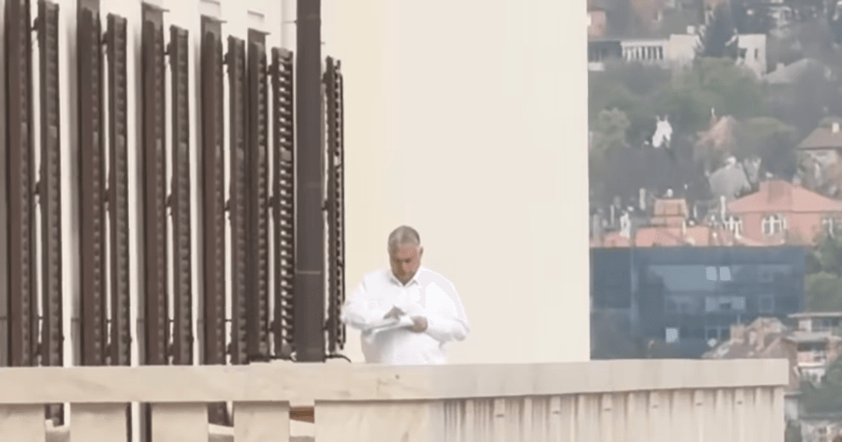 Петер Мадяр зустрівся з президентом Угорщини та помітив Орбана на терасі