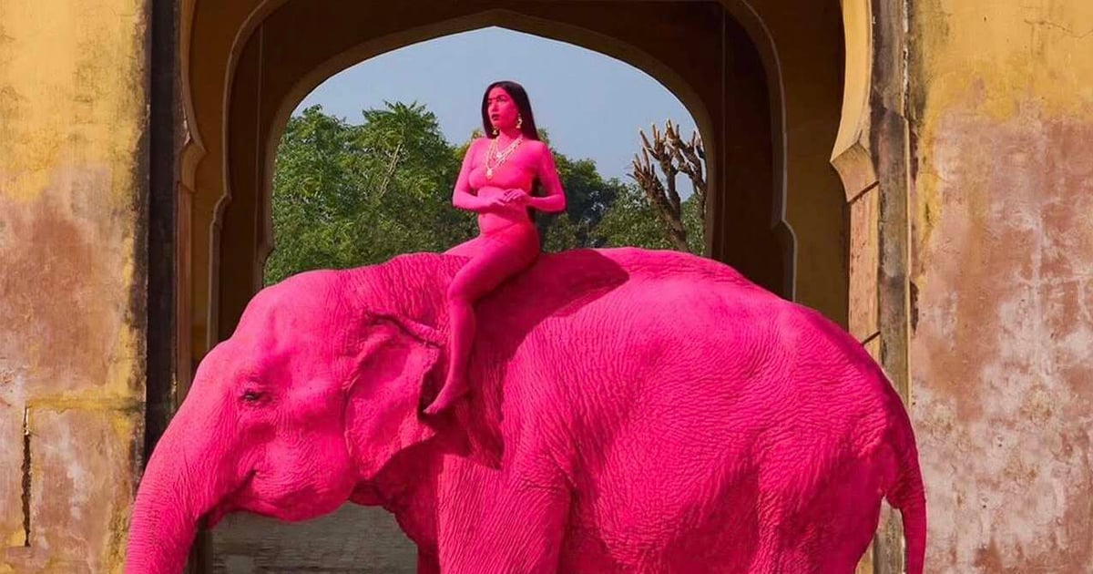 В Індії розпочали розслідування після смерті 65-річної слонихи Чанчал, яку торік розфарбували в рожевий колір задля зйомки російської фотографки.

За словами власника тварини, вона померла через свій вік