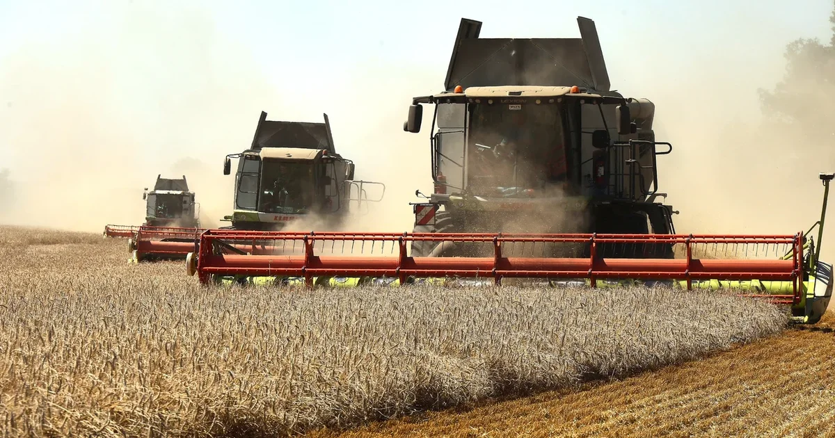 Baltic states work with Ukraine to verify grain origin and block stolen exports