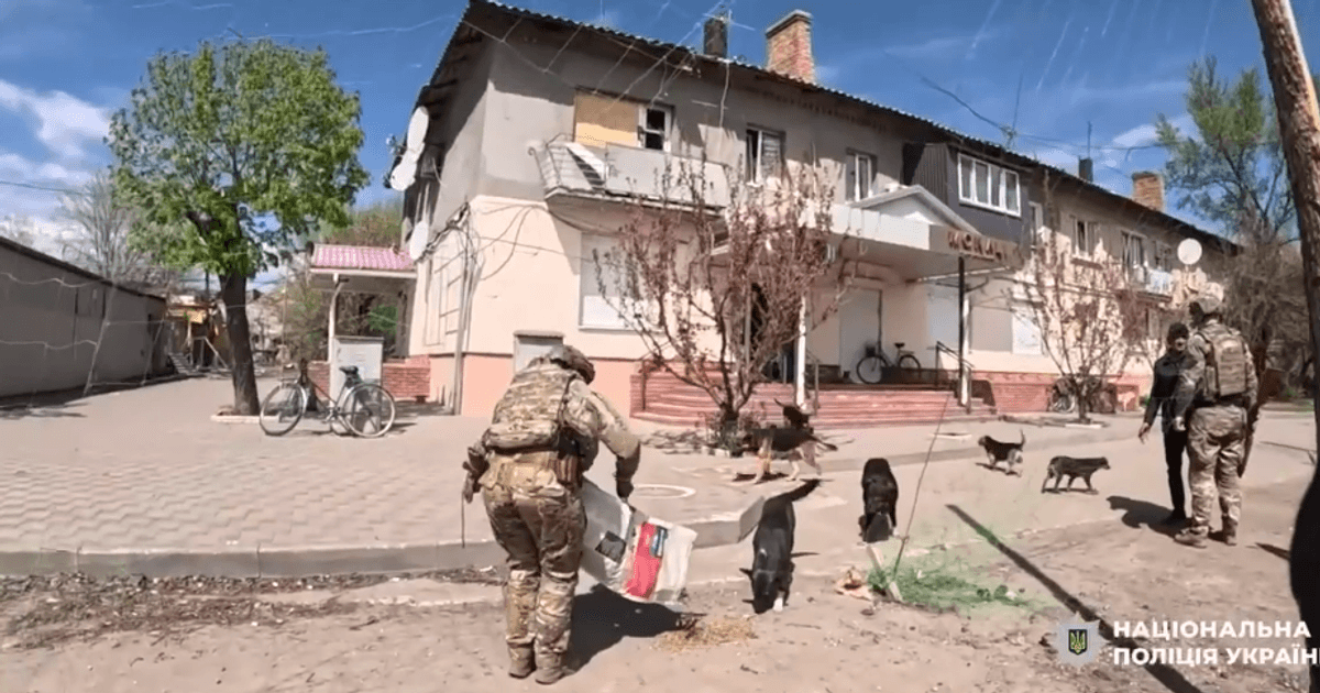 Евакуаційна група «Білі Янголи» потрапила під обстріл рф, коли їхала евакуювати людей з Синельниківського району.

Попри небезпеку, поліціянти продовжили допомагати людям