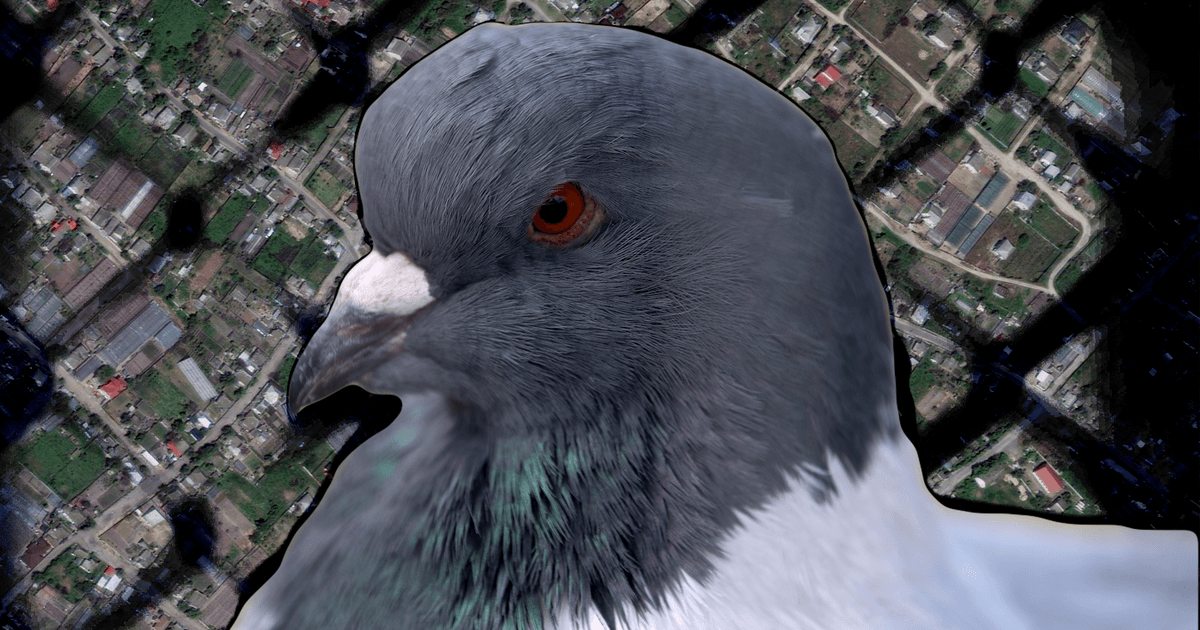 Їли голубів і собачу кашу, билися в чергах по продукти, падали від виснаження. Як виживають в окупованих Олешках