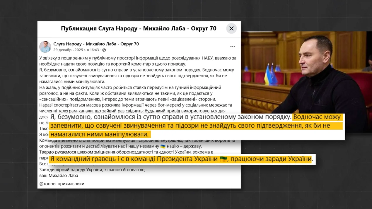 Михаил Лаба, Слуга народа, декларация