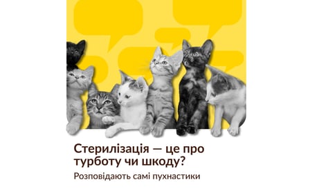 Happy Paw