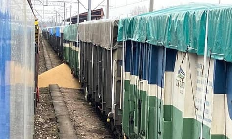 Польская полиция открыла дело по поводу высыпанной украинской сои на железной дороге