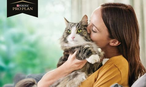 Nestlé Purina создали первый в мире корм, безопасно уменьшающий уровень аллергенов у котов