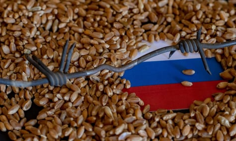 Ілюстративне фото. Естонія заборонила росії та Білорусі перевозити зерно через свою територію Ілюстративне фото. Естонія заборонила росії та Білорусі перевозити зерно через свою територію