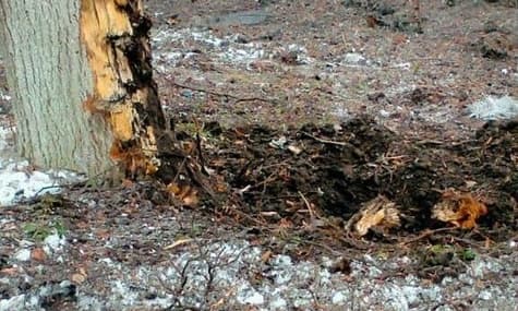 Окупанти обстріляли чотири громади на Сумщині, пошкодивши будинки місцевих жителів — ОВА