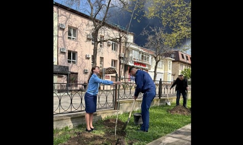 У Туапсе влаштували озеленення міста на тлі «нафтових дощів» після ураження місцевого НПЗ
