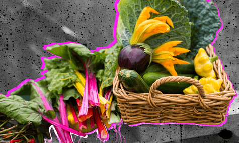 Картопля та яблука: чи матимемо свої, чи доведеться завозити. Про перспективи врожаю і проблеми аграріїв — в інтервʼю із заступником міністра