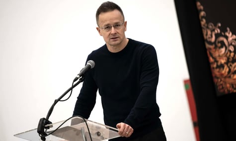 Угорщина, ймовірно, не зупинятиме постачання електроенергії до України, адже на Закарпатті також живуть угорці — Сіярто