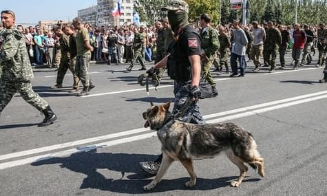 A Journalist Disappears in Occupied Ukraine