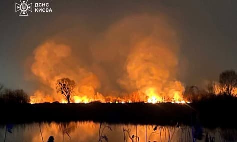 На Осокорківських озерах вигоріло близько 3 гектарів території. Там чергують пожежники