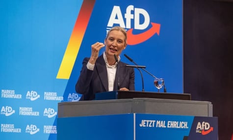 Німецька партія AfD могла зливати росії недоліки військ НАТО після спільних з Україною навчань — Politico