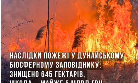 Пожежа в Дунайському біосферному заповіднику знищила 645 гектарів і завдала збитків на 5 млрд гривень