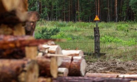 Is Your Wooden Chair Made in Chernobyl?