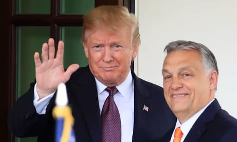 Трамп организовывает встречу с Орбаном в своей резиденции Мар-а-Лаго — СМИ