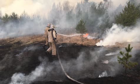 На Житомирщині затримали чоловіків, які спричинили масштабні пожежі в області