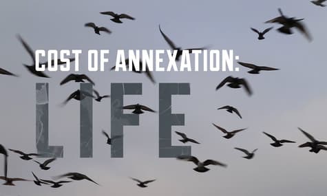 The Cost of Crimean Annexation is Life: Special Project