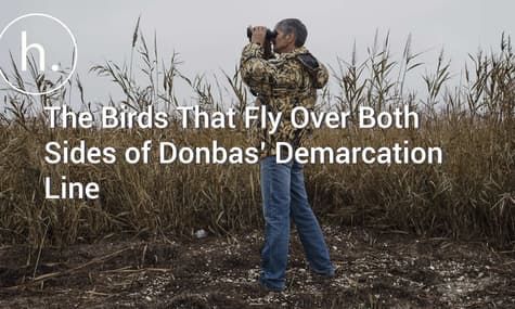 The Birds That Fly Over Both Sides of Donbas’ Demarcation Line