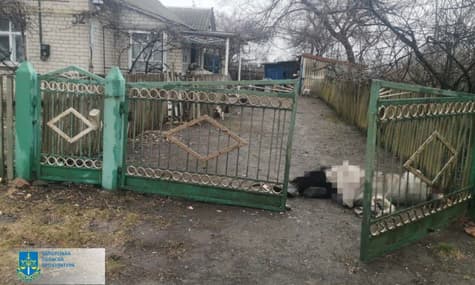 Оккупанты обстреляли село в Запорожской области. Погибла пожилая женщина