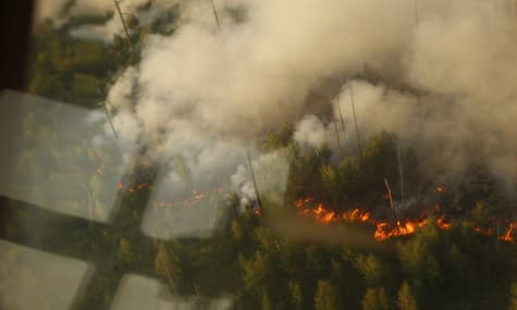 Сибирь потухла — подводим итоги. Чем закончился сезон таежных пожаров, приведет ли он к переменам и посадкам чиновников