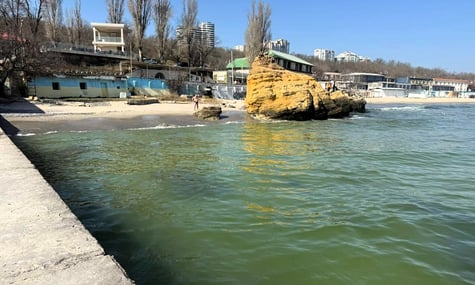 Забруднення Чорного моря