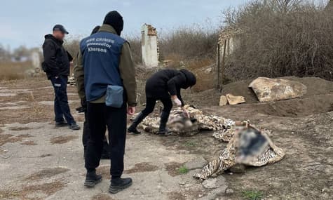 С момента деоккупации в Херсонской области подтверждена гибель 332 гражданских, в том числе 17 детей — Нацполиция