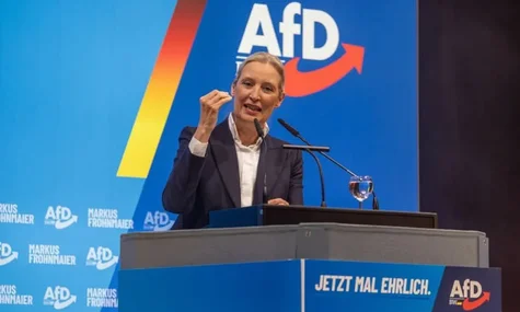 Німецька ультраправа партія AfD хоче відновити роботу російського газопроводу «Північний потік» — Welt