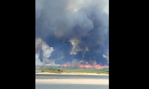 На висохлому Каховському водосховищі регулярно спалахують пожежі — Держекоінспекція