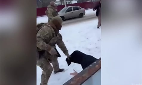 На Буковині сталася бійка під час затримання військового, який був у розшуку: поліція застосувала зброю