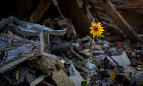 Контрнаступ на півдні та обстріл Миколаєва: головне за день 29 серпня