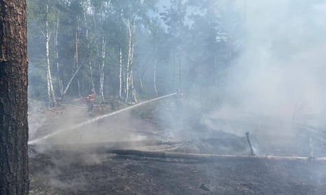 Пожежа у Чорнобильській зоні після падіння уламків російських БпЛА