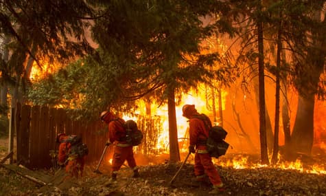 Пожежа на півночі Каліфорнії: кількість загиблих зросла до щонайменше 23
