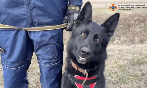 Службовий пес ДСНС Чіко