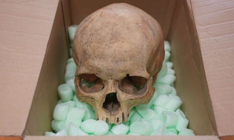 Череп, який 60 років німецький турист вкрав з собору Святого Стефана у Відні