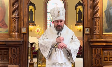Поліція Чехії підтвердила, що митрополит РПЦ Іларіон, якого затримали з «речовиною білого кольору», перевозив саме кокаїн