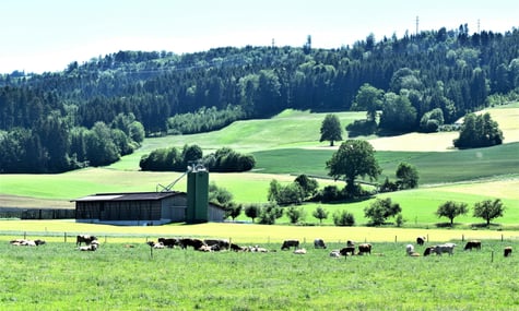 Німеччина хоче імпортувати «зелений газ» з України