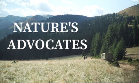 Economics vs. Environment: Will an Expensive Ski Resort Be Built in Ukraine's Pristine Carpathians?