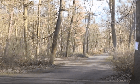 У лісі в Німеччині знайшли тіло 19-річної українки. Підозрюють, що її через ревнощі вбив її 17-річний хлопець